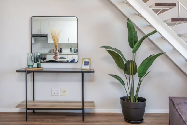 To Let 1 Bedroom Property for Rent in Oranjezicht Western Cape